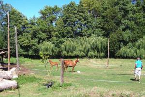 Appartements Holiday flat, Retournac : photos des chambres