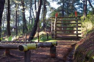 Monteverde
