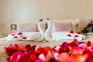 Hotel Carol - Vatra Dornei