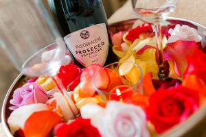 Hotel Carol - Vatra Dornei