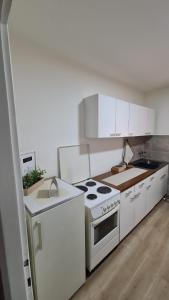 Apartman Pavlovic