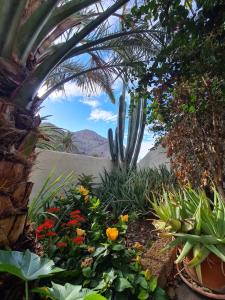 casa limon, El Guro