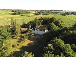 Du Vignoble à l'Atlantique - Château Cassemichère gîte - Châteauthébaud