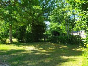 Campings Paris Camping Ile du Roi : Emplacement nu