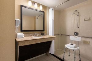 Deluxe King Room - Disability Access/Non-Smoking room in Wingate by Wyndham Wilmington