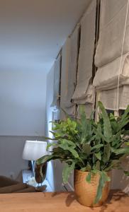 Seashore Hideaway studio