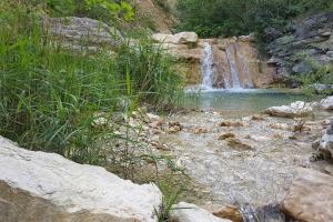 Appartements Appartement rez-de-jardin Jas des Baronnies : photos des chambres