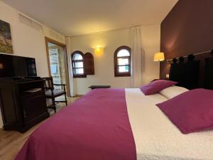 Double or Twin Room room in Hotel Cardenal Ram