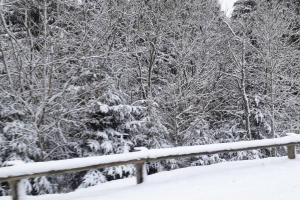 Appartements Studio au pied des pistes a la Bresse Hohneck : photos des chambres