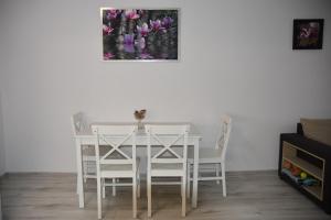 Apartament nad fontanną