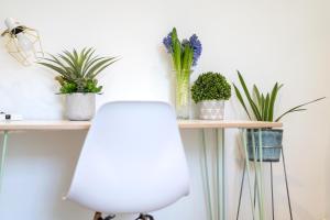 Stunning 2 Bed Basement Flat in the Heart of Cheltenham!