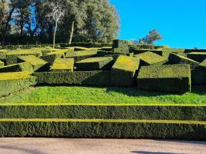 B&B / Chambres d'hotes Les Chenes Rouges : photos des chambres