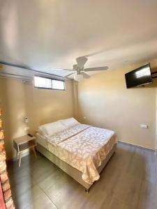 Apartaestudios - Casa Tamarindo