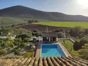 FINCA LAS ROSAS DE SANTA ANA - Caserío Alberite