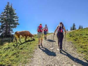 Apartment in Brixen near Wilder Kaiser Gondola