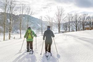 Apartment in Mühltal near Wilder Kaiser Ski Area