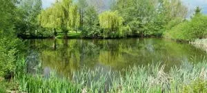 Ferienwohnung am See - Schellerten