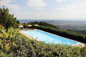 Estate in Monte Serra with Pool & Olive Views
