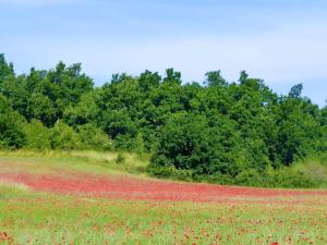 Maisons de vacances holiday home, Redortiers : photos des chambres