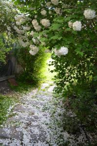 B&B / Chambres d'hotes Le Jardin Secret : photos des chambres