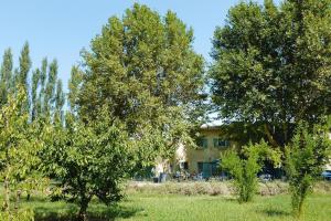 Maisons de vacances Semi-detached house, Beaucaire : photos des chambres