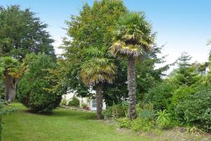 Maisons de vacances Holiday Home in Denneville near Sandy Beach : photos des chambres
