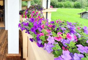 Apartment in Stubai Alps with SuperCard