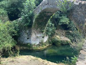 Maisons de vacances Les Lodges de Saint Cassien : photos des chambres