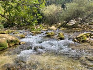 Maisons de vacances Les Lodges de Saint Cassien : photos des chambres