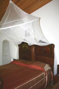 Holiday home Fiorenzuola Acacie in Montemaggiore