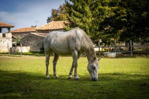 B&B / Chambres d'hotes Un Logis en Angoumois : photos des chambres