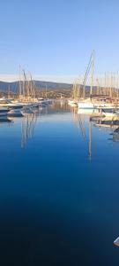 65 Rue Pierre Rameil Appartement