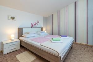 Apartment Teri 