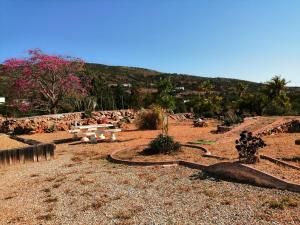 Quinta do Medronhal Faro - casas de férias medronhal