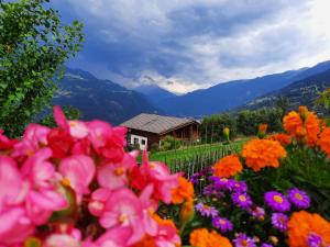 B&B / Chambres d'hotes Chalet Le Paradou : photos des chambres