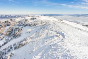 Gronie Ski Bike