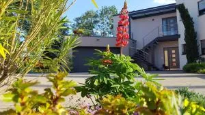 A l'Ancien Moulin - Berstett