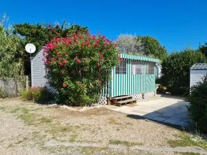 Mobil home sur camping 4 étoiles CAP SOLEIL St Denis d'Oléron - La Brée-les-Bains