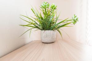 Ospedale Civile 1 - F&L Apartment