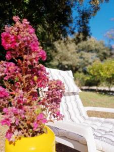 Appartements Studio avec jardin entre Aix-en-Provence, Luberon et Verdon : photos des chambres