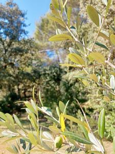 Studio avec jardin entre Aix-en-Provence, Luberon et Verdon