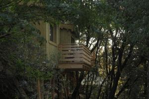 Hotels Les Cabanes Dans Les Bois : photos des chambres