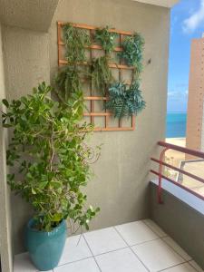 Flat Aconchegante - Praia de Iracema - Fortaleza - Ceará