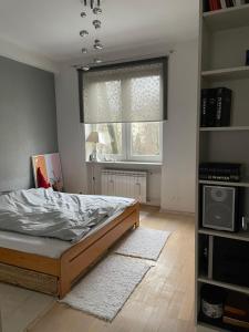 Apartament Koszykowa 1