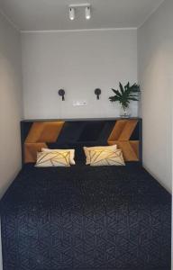Superior Studio room in Hotel Malibu Park