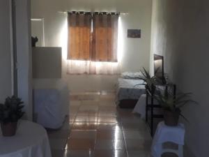 Casa Verde