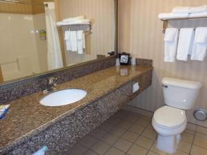 One-Bedroom King Suite room in Holiday Inn Express & Suites New Buffalo MI an IHG Hotel