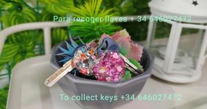 Loft el charco by flamingo house