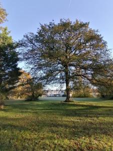 Manoir gite 34 à 45 personnes 30 minutes zoo beauval, chambord, center parc