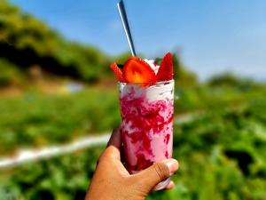 DV INNS FARMVILLA - Besides Strawberry Farms